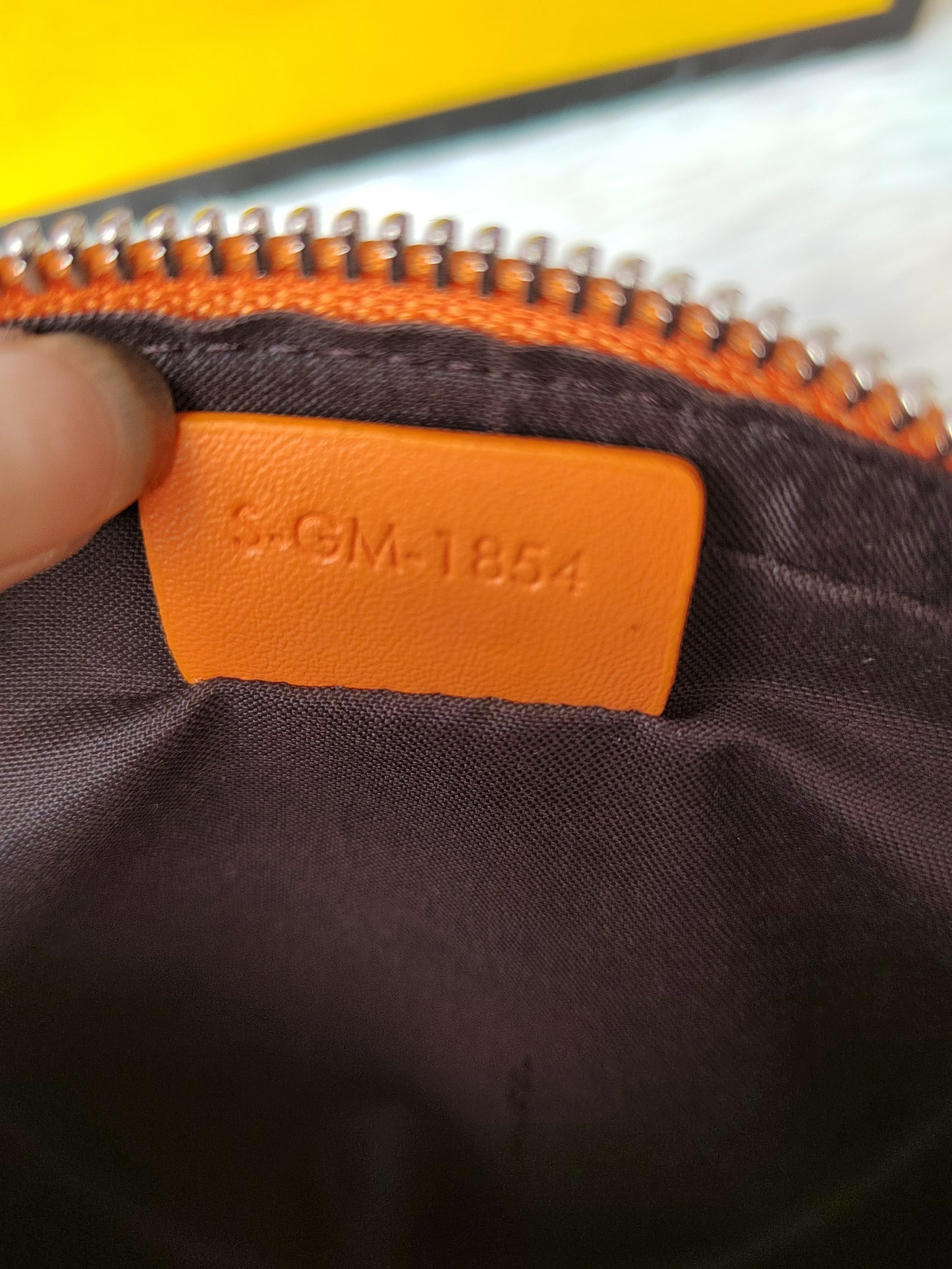 Fendi Diagonal Camera Case