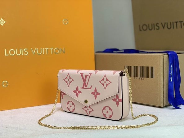 Louis Vuitton LV Felicie Pochette